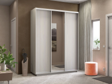 Шкафы-купе, Шкаф-купе Экспресс Медиум (1 зеркало) трио 2200 x 1800 x 600