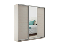 Шкафы-купе 3-х дверные, Шкаф-купе Экспресс Медиум (1 зеркало) трио 2200 x 2400 x 450