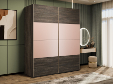 Шкафы-купе 2-х дверные, Шкаф-купе Эста 2-х дверный ДСП/Стекла пудра/Доводчик 180х66х240