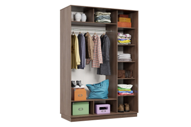 Шкаф-купе Премьер 10 (12;13) двухдверный