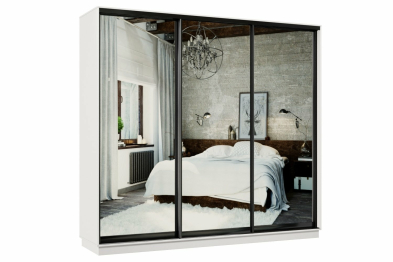 Шкаф-купе Премьер 55 Белый