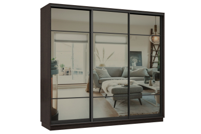 Шкаф-купе Премьер 35 (11ЗГ;11ЗГ;11ЗГ) фасады зеркало графит/трёхдверный/Профиль чёрный муар