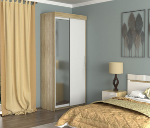 Шкаф-купе шк-18 2-х дверный с зеркалом