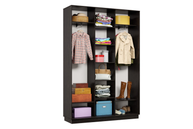 Шкаф-купе Премьер 17 (16;16;16) трёхдверный