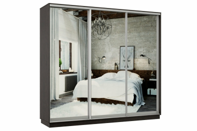 Шкаф-купе Премьер 54 Венге