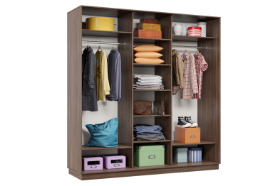 Шкаф-купе Премьер 42 (15;15;15) трёхдверный