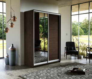 Шкаф-купе Экспресс Медиум дуо 2200 x 1600 x 600