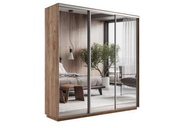 Шкаф-купе Экспресс Экспенс трио 2200 x 2400 x 450