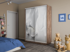 Шкафы-купе 2-х дверные, Шкаф-купе Экспресс 2-х дверный Фотопечать Шелк Стекла 120х45х240