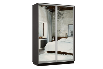 Шкаф-купе Премьер Лайт 02 (01;01) двухдверный