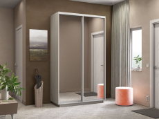 Шкафы-купе 2-х дверные, Шкаф-купе Экспресс Экспенс дуо 2400 x 1400 x 450