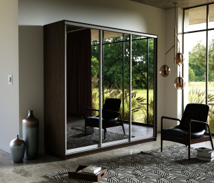 Шкаф-купе Экспресс Экспенс трио 2200 x 2400 x 600