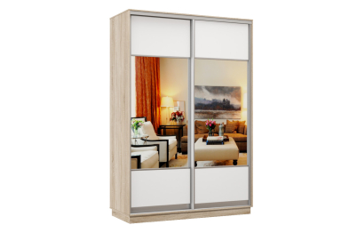 Шкаф-купе Премьер Лайт 11 (05;05) двухдверный