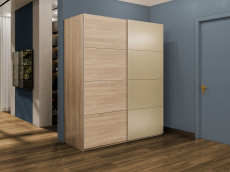 Шкафы-купе 2-х дверные, Шкаф-купе Эста 2-х дверный ДСП/Стекла фисташка/Доводчик 160х66х240