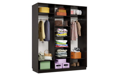 Шкаф-купе Премьер Лайт 26 (11;08;11) трехдверный