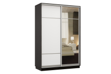 Шкафы-купе, Шкаф-купе Премьер Лайт 11 (08;11) двухдверный