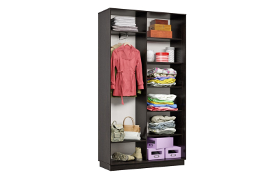 Шкаф-купе Премьер МИНИ 03 (12;13) двухдверный