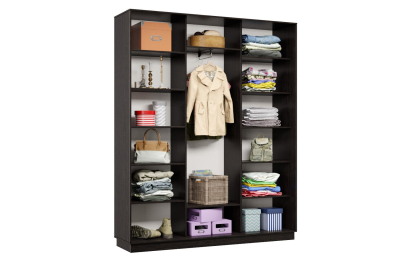 Шкаф-купе Премьер Лайт 29 (02;02;02) трехдверный