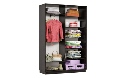 Шкаф-купе Премьер Лайт 01 (02;01) двухдверный