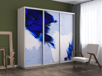 Шкаф-купе Экспресс 1010, 180х60х220