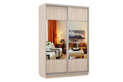 Шкаф-купе Премьер Лайт 02 (05;05) двухдверный