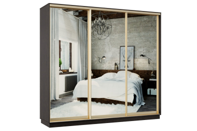 Шкаф-купе Премьер 58 венге