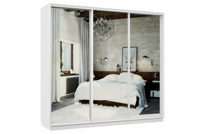 Шкаф-купе Премьер 58 белый