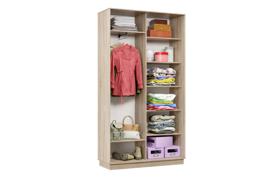 Шкафы-купе, Шкаф-купе Премьер Лайт 03 (05;05) двухдверный