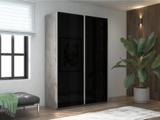 Шкафы-купе 2-х дверные, Шкаф-купе Прайм 2-х дверный Стекла черные/Доводчики 120х57х230
