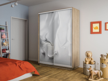 Шкаф-купе Экспресс 2-х дверный Фотопечать Шелк Стекла 160х60х240