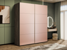 Шкафы-купе 2-х дверные, Шкаф-купе Эста 2-х дверный Стекла пудра/Доводчик 160х66х240