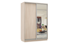 Шкафы-купе, Шкаф-купе Премьер Лайт 02 (02;01) двухдверный