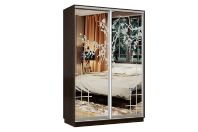 Шкаф-купе Премьер Лайт 10 П-3159 двухдверный