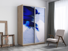 Шкафы-купе, Шкаф-купе Экспресс 1010, 120х60х240