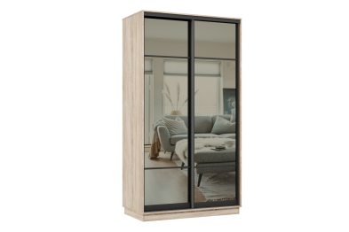 Шкаф-купе Премьер МИНИ 02 (11ЗГ;11ЗГ) фасады зеркало графит/двухдверный/Профиль чёрный муар