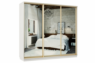 Шкаф-купе Премьер 53 Белый