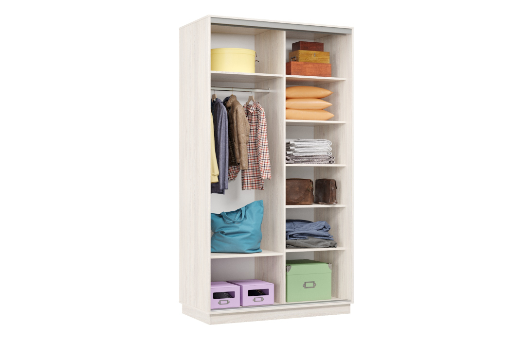 Шкафы-купе 2-х дверные, Шкаф-купе Премьер Лайт МИНИ 02 (05;05) двухдверный