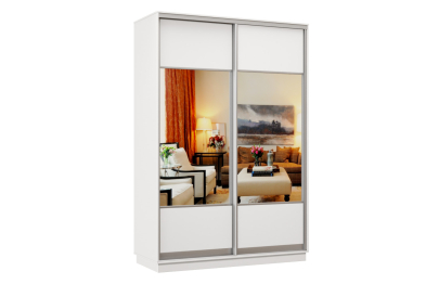 Шкаф-купе Премьер Лайт 12 (05;05) двухдверный