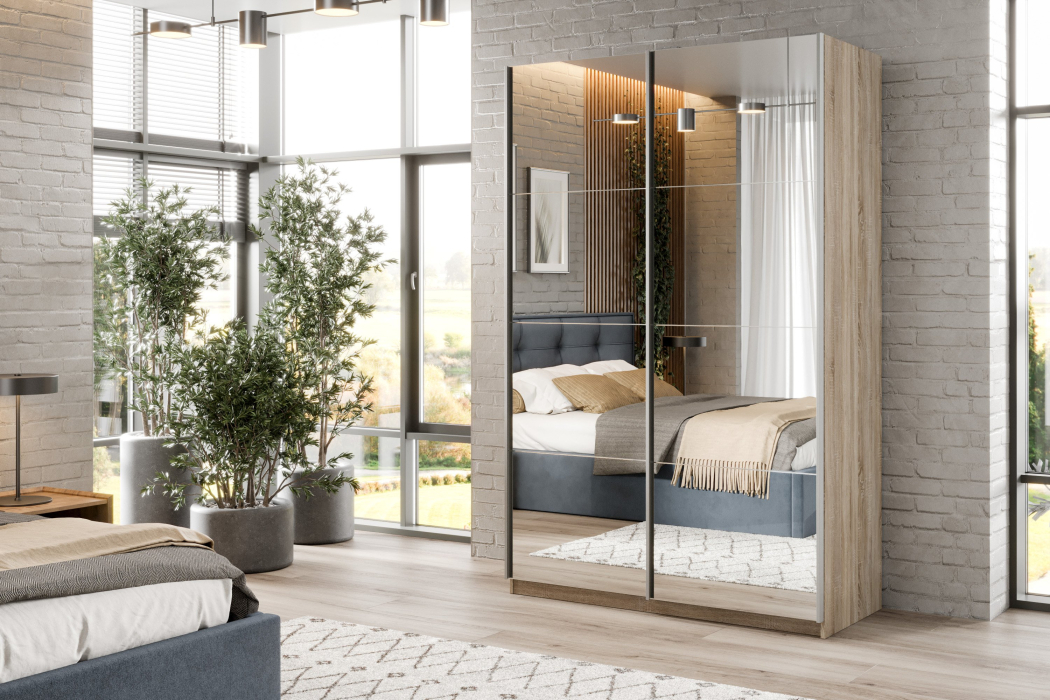 Шкафы-купе 2-х дверные, Шкаф-купе Smart 1224 2х дверный (фасады зеркало) профиль серебро