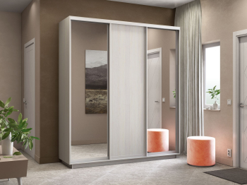 Шкаф-купе Экспресс Медиум (2 зеркала) трио 2200 x 2100 x 600