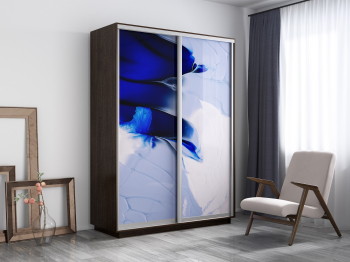 Шкаф-купе Экспресс 1010, 160х45х240