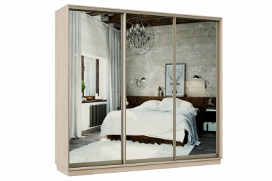 Шкаф-купе Премьер 54 Ясень шимо светлый