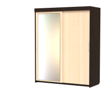Шкафы-купе 2-х дверные, Шкаф-купе шк-19 двухдверный с зеркалом