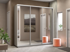 Шкафы-купе 3-х дверные, Шкаф-купе Экспресс Экспенс трио 2200 x 2400 x 450