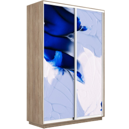 Шкаф-купе Экспресс 1010, 120х60х240