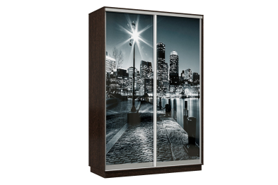 Шкаф-купе Премьер Лайт 09 Ф-1356 двухдверный