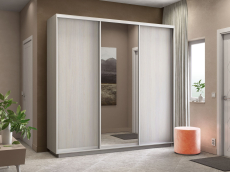 Шкафы-купе 3-х дверные, Шкаф-купе Экспресс Медиум (1 зеркало) трио 2200 x 2400 x 450