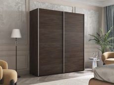 Шкафы-купе 2-х дверные, Шкаф-купе Эста ДСП+ДСП 200х66х240